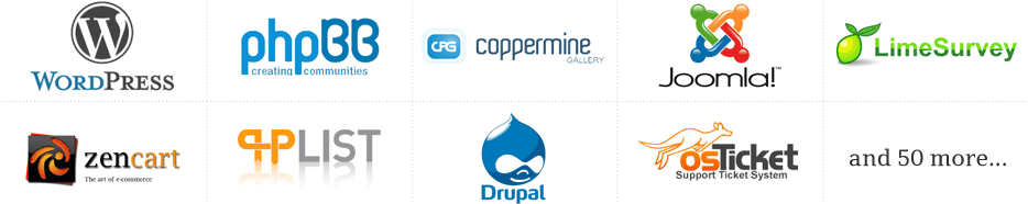 一键安装网站十大开发工具wordpress建站