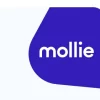 ARMember Mollie payment gateway Addon 3.1破解版插件