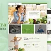 Aarogya | Nutrition Dietitian WordPress Theme 2.5 GPL Theme 2 Aarogya Nutrition Dietitian WordPress Theme 2.5破解版主题