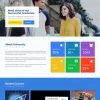 Academic Pro 2.3.6破解版主题