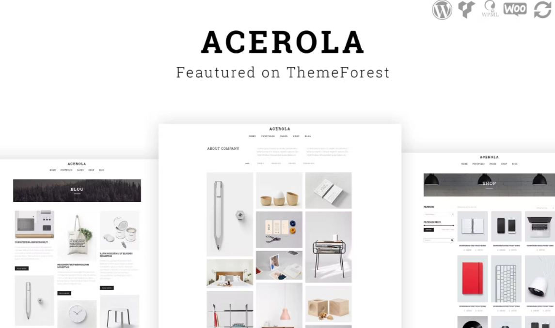 Acerola Ultra Minimalist Agency WordPress Theme 1.6.5 GPL Theme 1 Acerola Ultra Minimalist Agency WordPress Theme 1.6.5 GPL Theme
