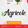 Agricole 1.0.9 GPL Theme 3 Agricole 1.0.9破解版主题