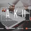 Aku Powerful Responsive WordPress Theme 2.4.0 GPL Theme 2 Aku Powerful Responsive WordPress Theme 2.4.0破解版主题