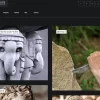 Alberto WordPress Theme 1.0.0破解版主题