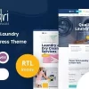 Aundri Dry Cleaning Services WordPress Theme RTL 3.0破解版主题