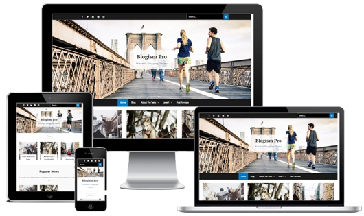 BLOGISM PRO 2.3.1 GPL Theme