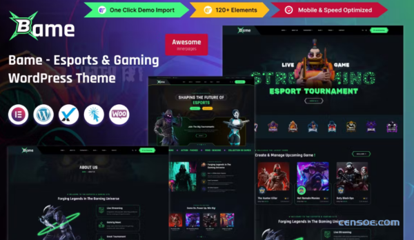 Bame eSports and Gaming WordPress Theme 1.0.0 GPL Theme