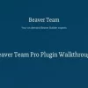 Beaver Team Pro 1.2.18破解版插件