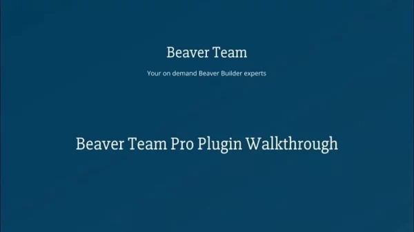 Beaver Team Pro 1.2.18 GPL Plugins