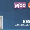 Besocial BuddyPress Social Network Community WordPress Theme 4.7破解版主题