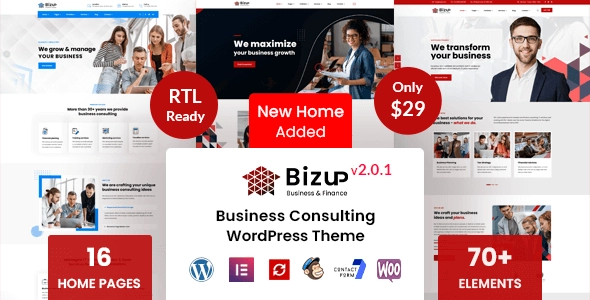 Bizup Business Consulting WordPress Theme 2.0.4 GPL Theme