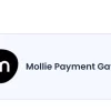 BookingPress Mollie Payment Gateway Addon 1.6 GPL Plugins 2 BookingPress Mollie Payment Gateway Addon 1.6破解版插件