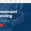 Borex Business And Finance WordPress Theme 1.1.3破解版主题