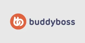BuddyBoss Theme 2.6.60 GPL Theme