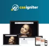 CSS Igniter The Styler 1.4.4破解版主题