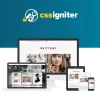 CSSIgniter Brittany WordPress theme 2.2.4破解版主题