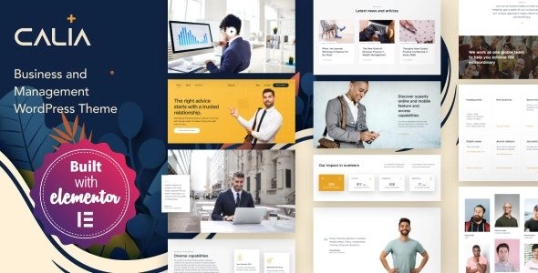 Calia Business and Management WordPress Theme 1.2.19 GPL Theme