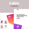 Caliris Responsive One Page WordPress Theme 1.5破解版主题