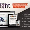 Callisto WooCommerce — Premium Responsive Theme 1.0.42破解版主题