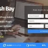 Cash Bay Loan Credit Money WP Theme 1.1.4破解版主题