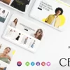 Cecile Minimalist WooCommerce Theme WooCommerce 1.0.2破解版主题