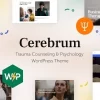 Cerebrum Trauma Counseling Psychology WordPress Theme 1.1破解版主题
