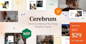 Cerebrum Trauma Counseling Psychology WordPress Theme 1.1 GPL Theme