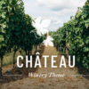 Chateau Winery and Wine Shop Theme 1.1破解版主题