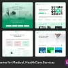 CliLab – WP Theme for Medical HealthCare Services 1.0.1破解版主题