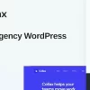 Collax – Creative Agency WordPress Theme 1.0.9破解版主题