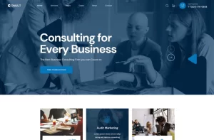 Conult Consulting Business WordPress Themes 1.1.2 GPL Theme