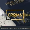 Croma Music WordPress Theme with Ajax and Continuous Playback 3.5.9破解版主题