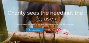 CyberChimps CharityPure WordPress Theme 1.2 GPL Theme