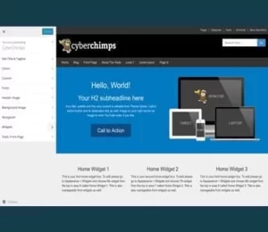 CyberChimps CyberChimps Pro Features WordPress Plugin 1.2 GPL Plugins
