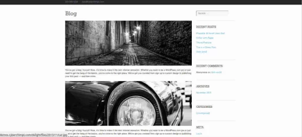 CyberChimps Delight WordPress Theme 1.0.0.4 GPL Theme