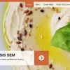 CyberChimps Hot Oven WordPress Theme 1.6破解版主题