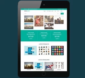CyberChimps Iconwish WordPress Theme 1.0.0 GPL Theme