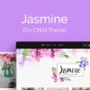 Divi Jasmine Blog – AGS Divi Child Theme 2.0.1破解版主题