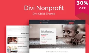 Divi Nonprofit 1.1.3 GPL Theme