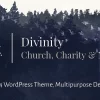 Divinity 1.3.5破解版主题
