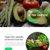 Ecolus Organic Food Delivery ECommerce Modern WordPress Elementor Theme WordPress Theme 1.2.3破解版主题