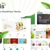 Econis – Organic Food Store WordPress Theme 2.0.4破解版主题