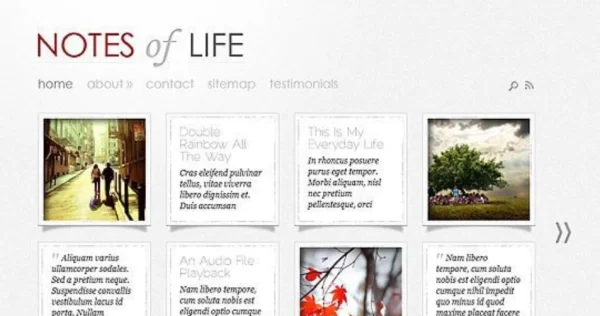 Elegant Themes DailyNotes WordPress Theme 5.8.13 GPL Theme