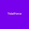 Elegant Themes TidalForce 5.2.13 GPL Theme 2 Elegant Themes TidalForce 5.2.13破解版主题