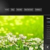 Elegant Themes ePhoto WordPress Theme 7.0.12破解版主题