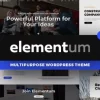 Elementum MultiPurpose High-Perfomance WP Theme 1.0.0 GPL Theme 2 Elementum MultiPurpose High Perfomance WP Theme 1.0.0破解版主题