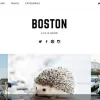 FameThemes Boston Pro WordPress Theme 1.0.5破解版主题