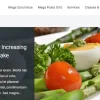 FameThemes Wellness Pro WordPress Theme 1.2破解版主题