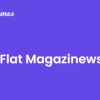 Flat Magazinews 113.6破解版主题