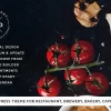 Food Drink An Elegant Cafe Restaurant WordPress Theme 1.5.2破解版主题